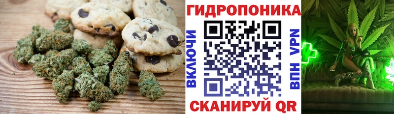 Canna-Cookies марихуана  Лиски 